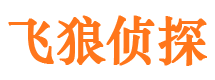 武宁市侦探调查公司